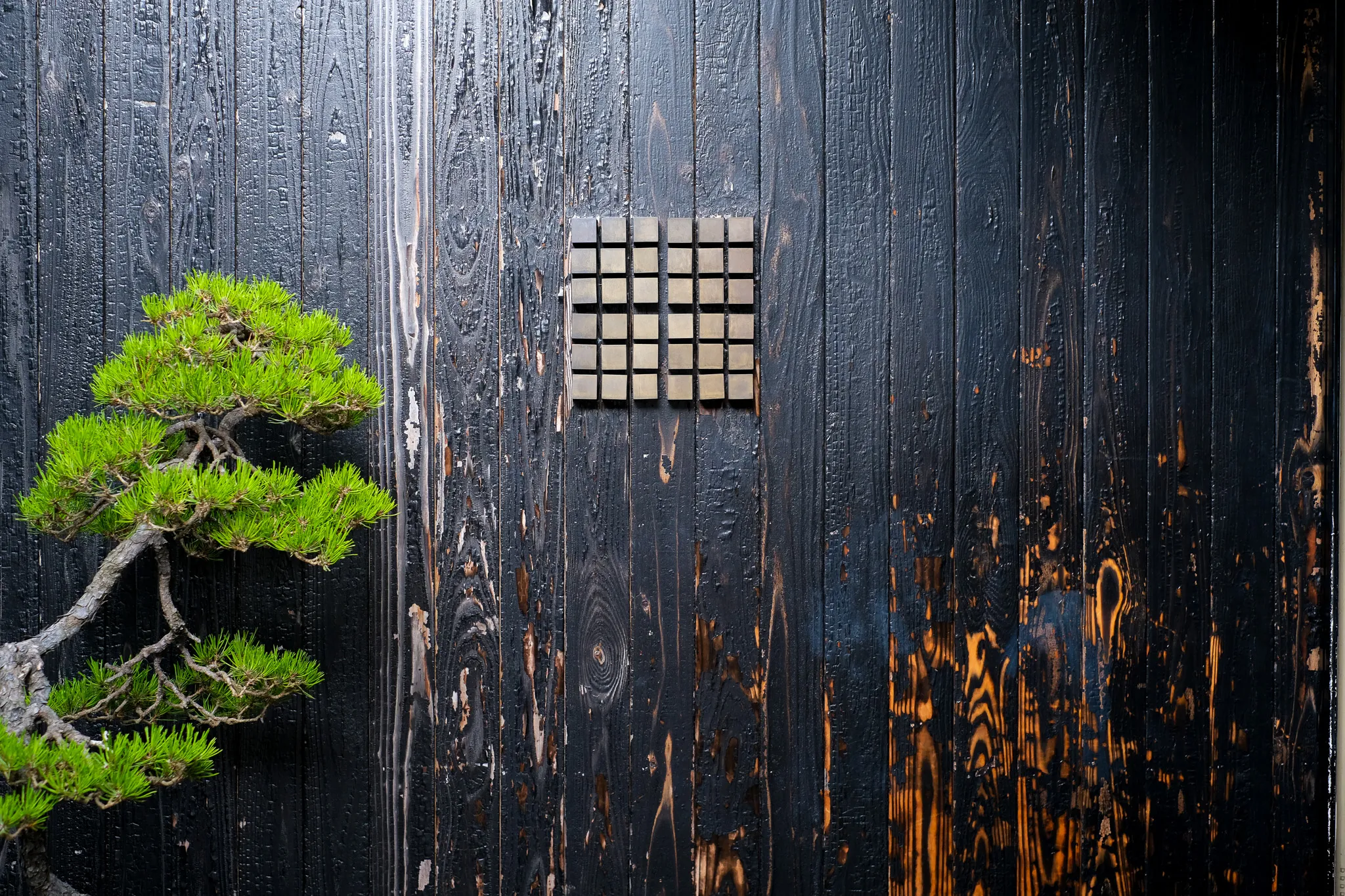 KOFFEE MAMEYA - Image 1